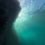 Cabo San Lucas Snorkel Adventure with Photos Included - Who Is This Tour Best For?