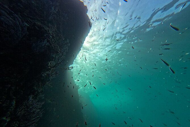 Cabo San Lucas Snorkel Adventure with Photos Included - Who Is This Tour Best For?