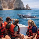 Cabo San Lucas Tour | Arch, Lovers Beach & Whale Waching - Why This Tour Works for You