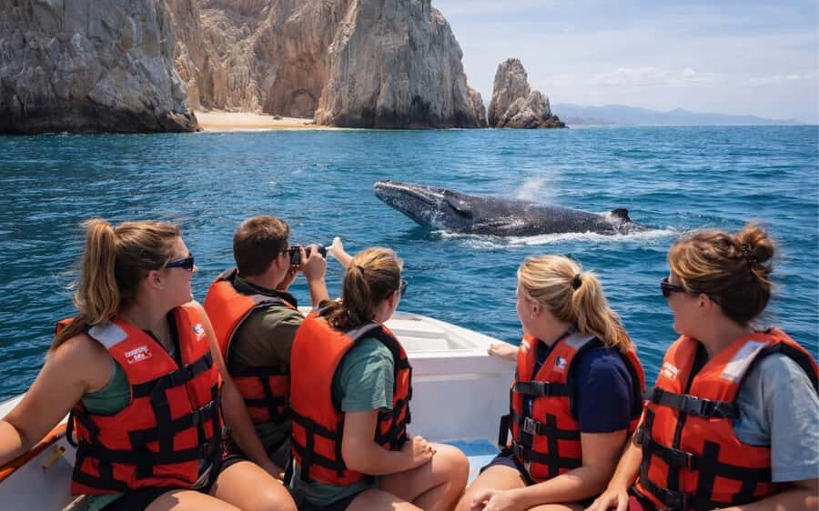 Cabo San Lucas Tour | Arch, Lovers Beach & Whale Waching - Why This Tour Works for You