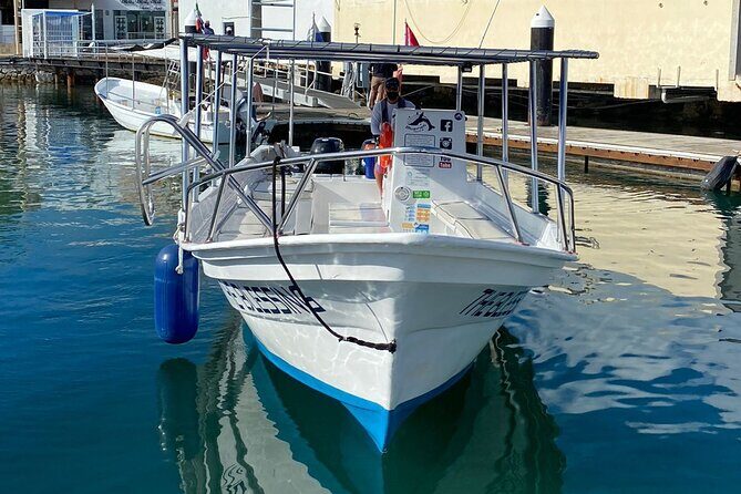 Cabo San Lucas Whale Watching: Hear the Whales as You See Them - Pricing, Duration, and Value