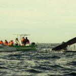 Cabo: Whale-Whatching Boat Trip w/ All-Women Crew and Photos - The Itinerary: From Iconic Landmarks to Marine Encounters