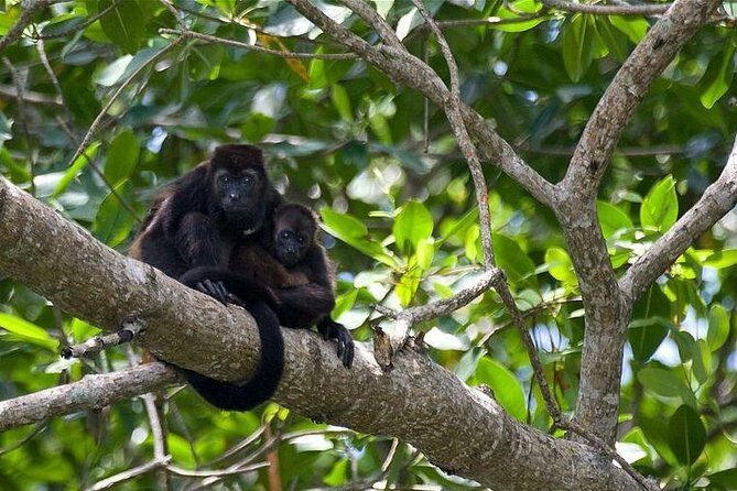 Cahuita National Park - FAQ