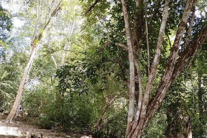 Calakmul and Bat Cave Tour from Bacalar - Frequently Asked Questions