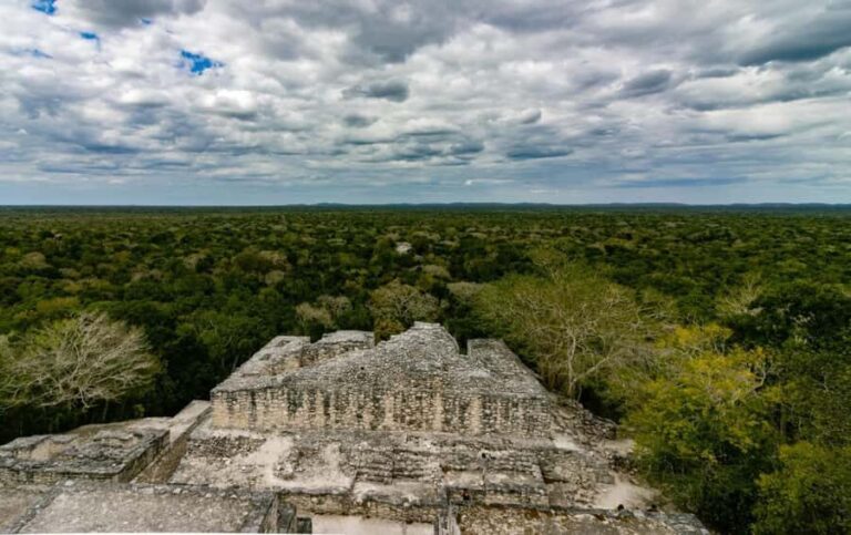 Calakmul Tour: Among Animals and Mayan History - Why This Tour Is a Great Choice