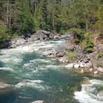 Calaveras Big Trees State Park Day Tour - Authentic Perspectives from Travelers