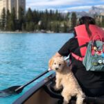 Calgary Shuttle: Lake Louise, Banff & Johnston Canyon Tour - Authentic Experiences and Real Traveler Perspectives