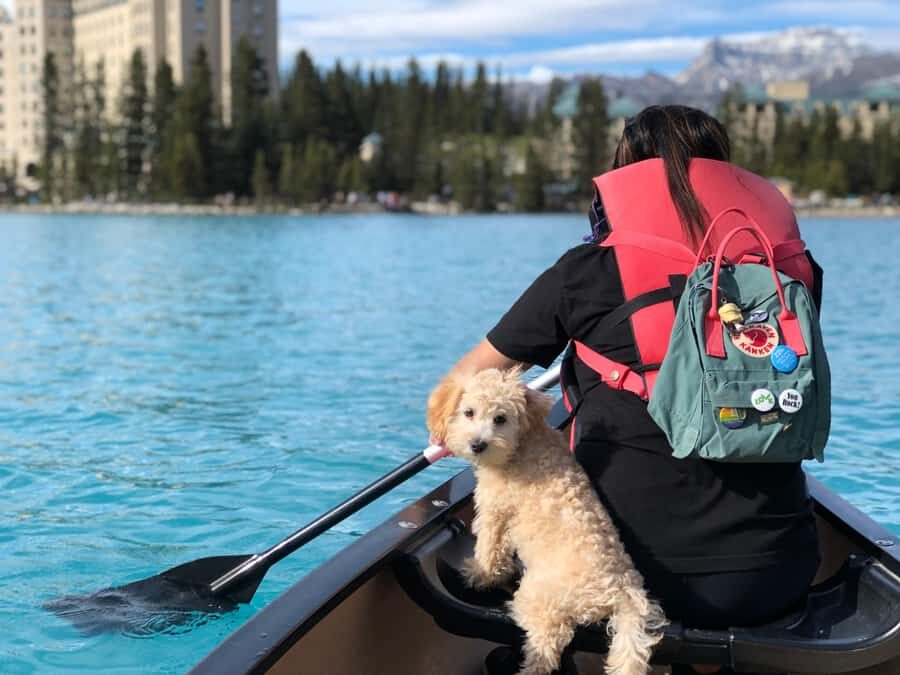 Calgary Shuttle: Lake Louise, Banff & Johnston Canyon Tour - Authentic Experiences and Real Traveler Perspectives