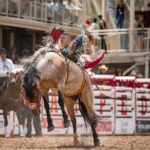 Calgary Stampede Afternoon Rodeo - Final Thoughts on the Calgary Stampede Afternoon Rodeo