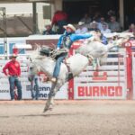 Calgary Stampede Afternoon Rodeo - Detailed Breakdown of the Experience