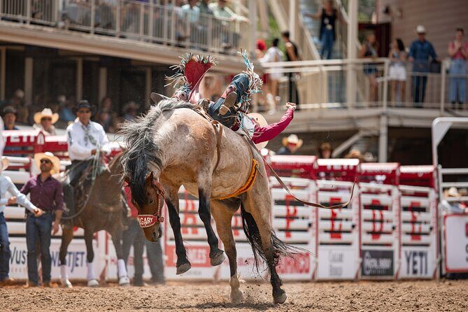 Calgary Stampede Afternoon Rodeo - Final Thoughts on the Calgary Stampede Afternoon Rodeo