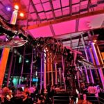 California Academy of Sciences Ticket in San Francisco - Who Will Love This?