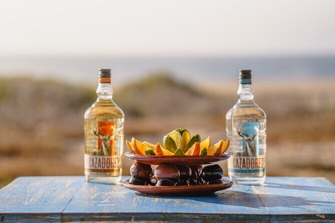 Camel Ride and Tequila Tasting Adventure in Los Cabos - Detailed Breakdown of the Itinerary