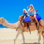 Camel Ride in Los Cabos with Buffet Food and Beer - The Sum Up: The Value of a Baja Camel Safari
