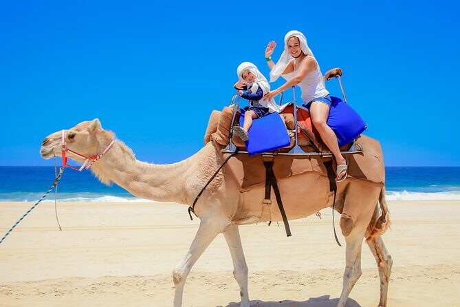 Camel Ride in Los Cabos with Buffet Food and Beer - The Sum Up: The Value of a Baja Camel Safari