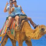 Camel Ride with Tequila Tasting and Lunch in Los Cabos - What to Expect During the Tour