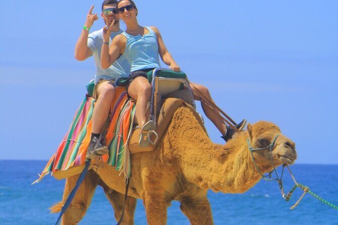 Camel Ride with Tequila Tasting and Lunch in Los Cabos - What to Expect During the Tour