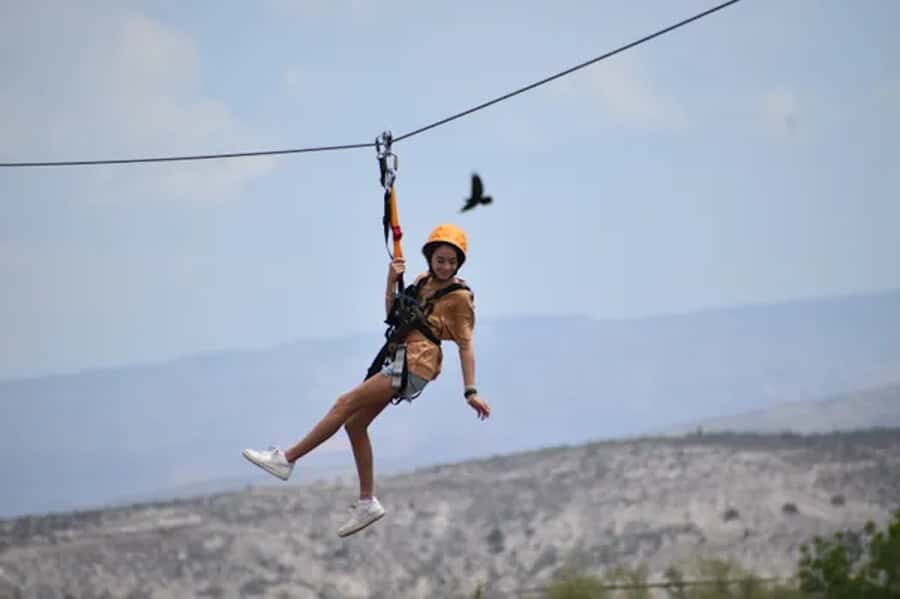 Camp Verde: Predator Zip Lines Guided Tour - Why This Tour Stands Out