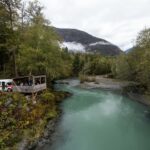 Campbell River: Toba Bears and Wilderness Grizzly Bear Tour - The Value of the Experience