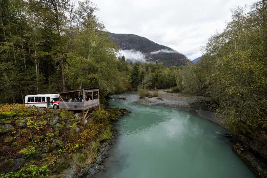 Campbell River: Toba Bears and Wilderness Grizzly Bear Tour - The Value of the Experience