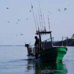 Campbell River - Whale Watching: Private & budget-friendly - Who Should Consider This Tour?