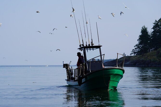 Campbell River - Whale Watching: Private & budget-friendly - Who Should Consider This Tour?