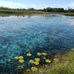 Campeche: Palenque, Sabancuy, & Palizada 2-Day Tour - The Value of This Experience