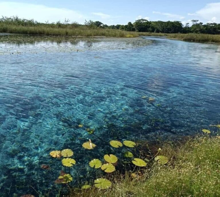 Campeche: Palenque, Sabancuy, & Palizada 2-Day Tour - The Value of This Experience