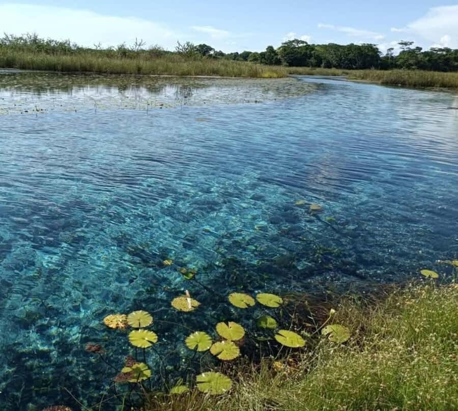 Campeche: Palenque, Sabancuy, & Palizada 2-Day Tour - The Value of This Experience