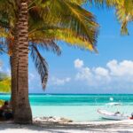 Cancun: Sea turtles and Cenote Tour With Pick Up from your Hotel - In-Depth Review of the Cancun Sea Turtles and Cenote Tour