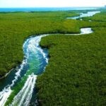 Cancun Speed Boat, Parasailing and Dolphin Beach with Transport - Final Thoughts: Is This Tour for You?