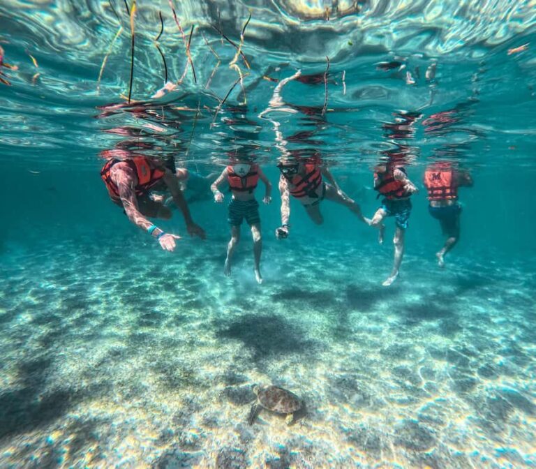 Cancun: Tulum Ruins, Akumal Turtles, Cenote & Caves Tour - Sampling Flavors: Chocolate and Tequila Tasting