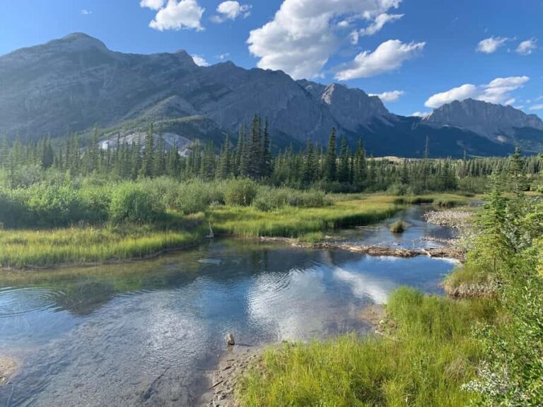 Canmore: Banff National Park Scenic Lakes Tour - Exploring the Tour in Detail