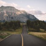 Canmore: Evening Wildlife Viewing Tour - An In-Depth Look at the Experience