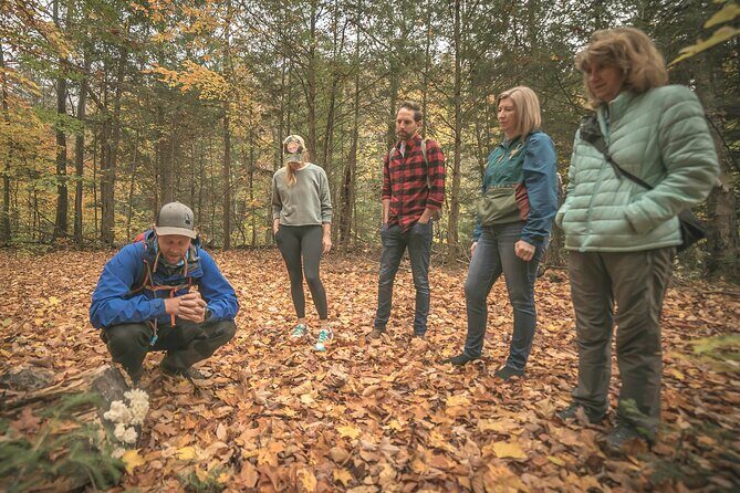 Canopy Tour at Haliburton Forest - Authentic Traveler Perspectives