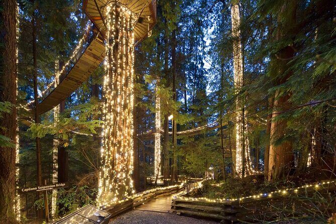 Capilano Canyon Lights Evening Tour Christmas Magic Awaits - The North Pole Photo Spot