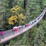 Capilano Suspension Bridge and Grouse Mountain Signature Tour - Final Thoughts: Is It Worth It?