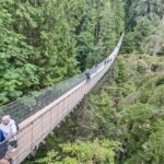 Capilano Suspension Bridge Canyon Lights & 4 Top highlights - Visiting the Rainforest and Suspension Bridges
