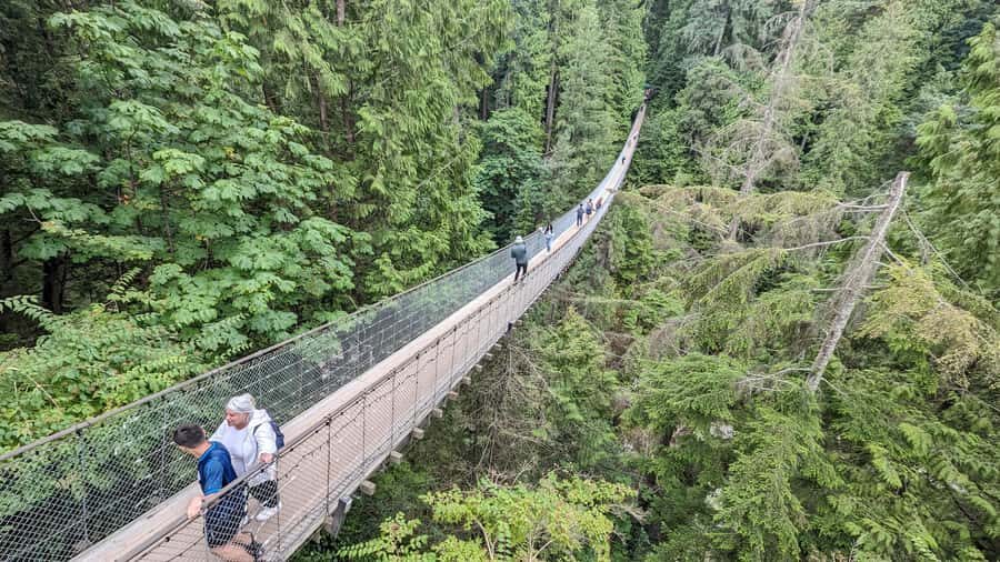 Capilano Suspension Bridge Canyon Lights & 4 Top highlights - Visiting the Rainforest and Suspension Bridges