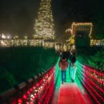 Capilano Suspension Bridge Canyon Lights Holiday Tour - The Bottom Line