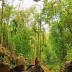 Caracol Maya Ruin Tour - Unwinding at Rio On Pools: Belize’s Natural Spa