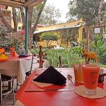 Casa de Leon Trotsky Museum in Mexico - Who Should Consider This Tour?