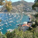 Catalina Island 2-Hour Insider Adventure Tour - Final Thoughts: Is It Worth the Price?
