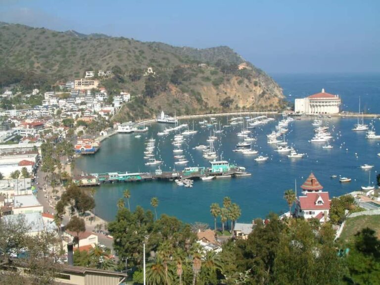 Catalina Island City & Scenic Mt. Ada Tour - Who Would Love This Tour?