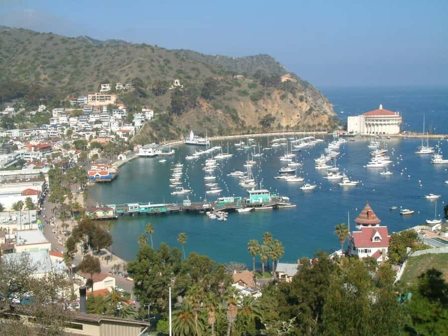 Catalina Island City & Scenic Mt. Ada Tour - Who Would Love This Tour?
