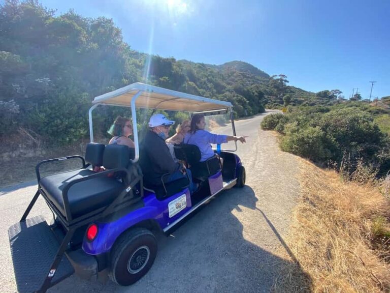 Catalina Island: Private Guided Golf Cart Tour of Avalon - An In-Depth Look at Catalina Island’s Golf Cart Tour