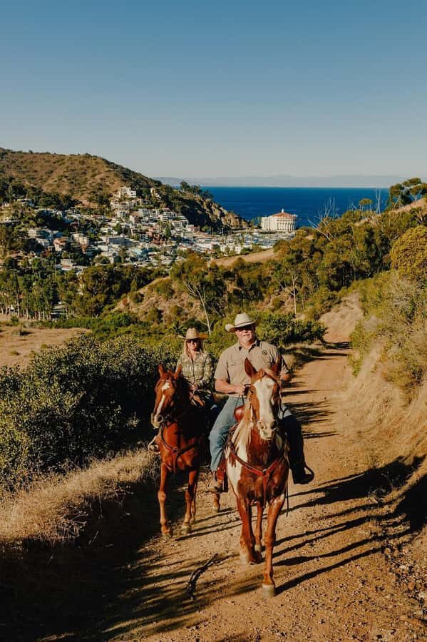 Catalina Island: Trail and Canyon Horseback Ride - Practical Tips for Your Ride