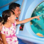 Catalina Island: Yellow Semi-Submarine Cruise - Who Will Love This Tour?