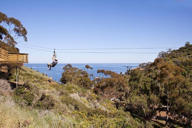 Catalina Island Zip Line Eco Tour - Who Would Love This Tour?