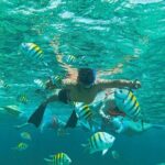 Catamaran to Isla Mujeres, from Playa del Carmen or Riviera Maya - In-Depth Review of the Catamaran to Isla Mujeres Experience